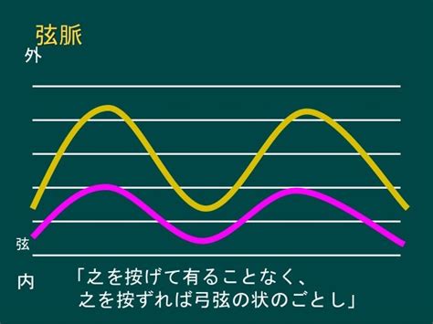 脈弦|脈學新悟(弦脈)